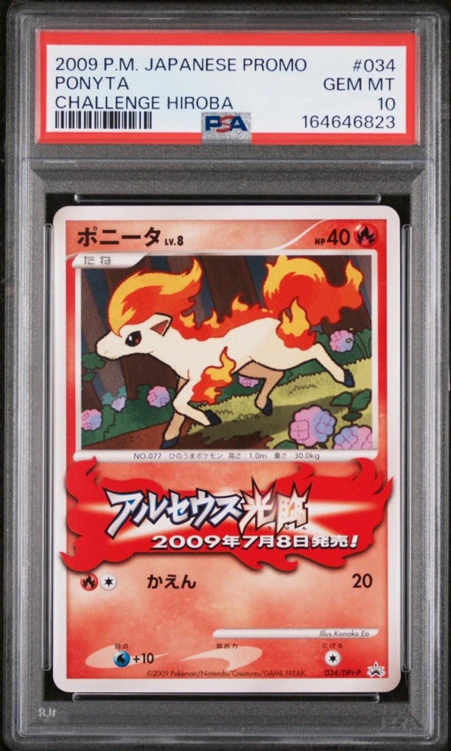Ponyta