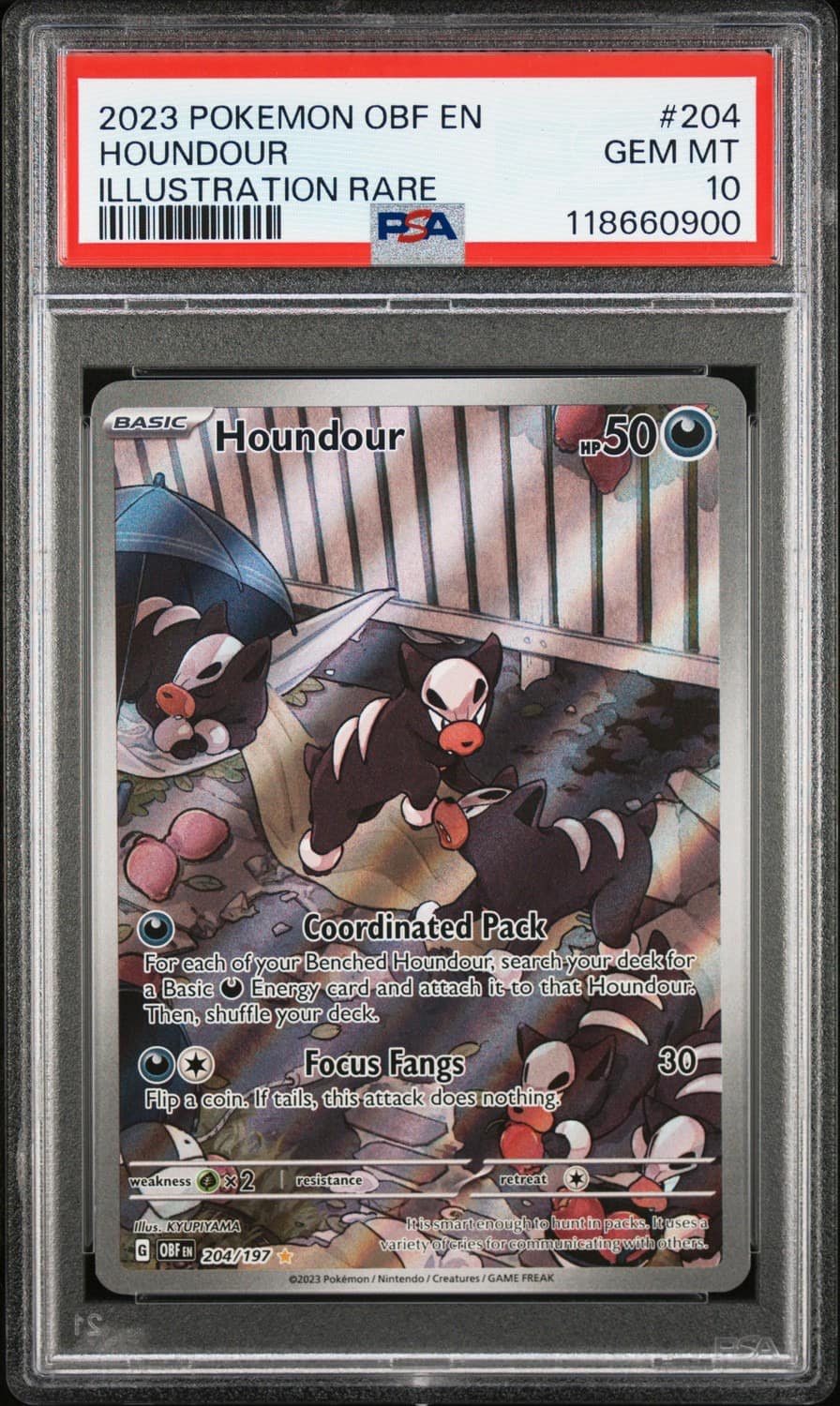 Houndour