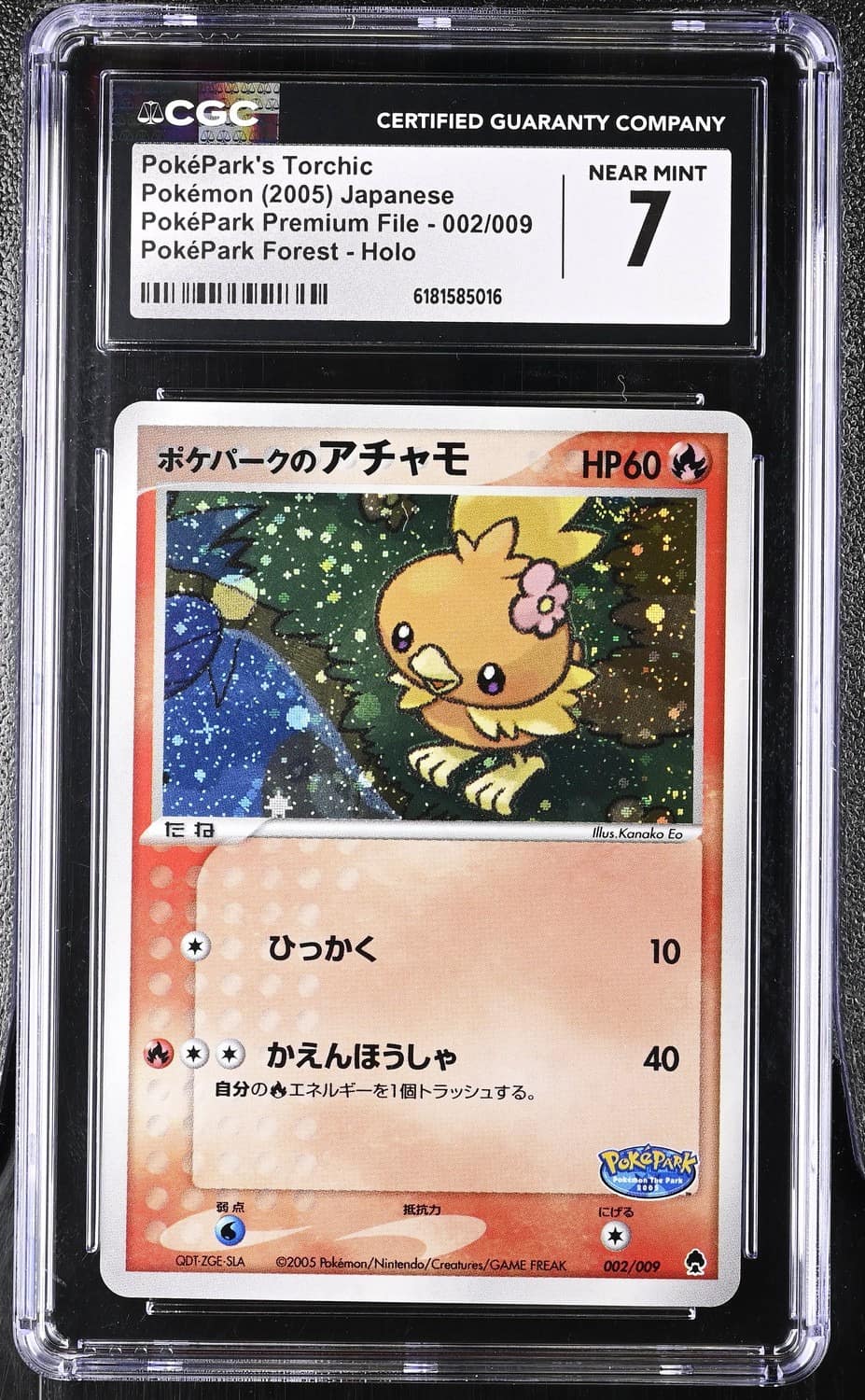 Poképark'S Torchic