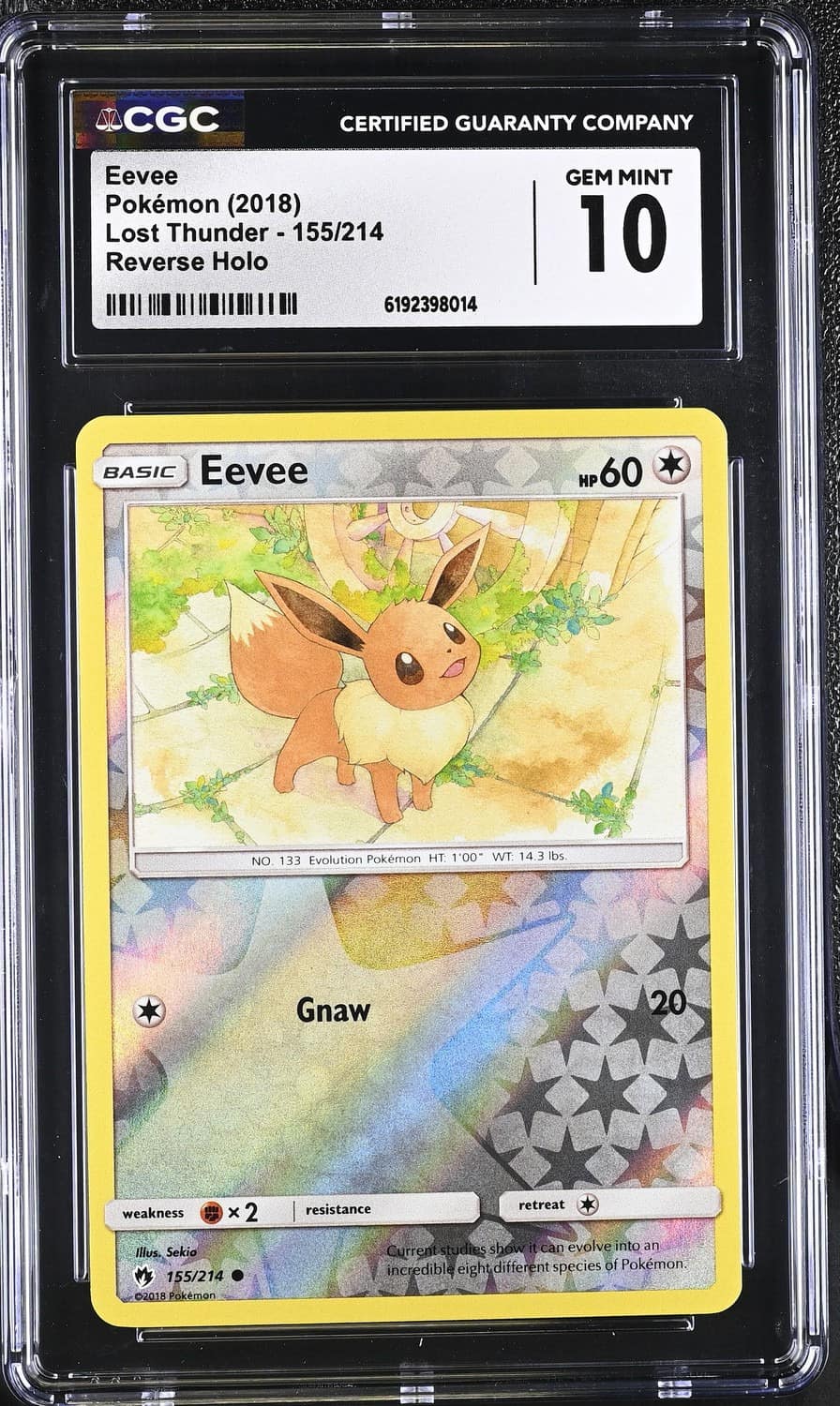 Eevee