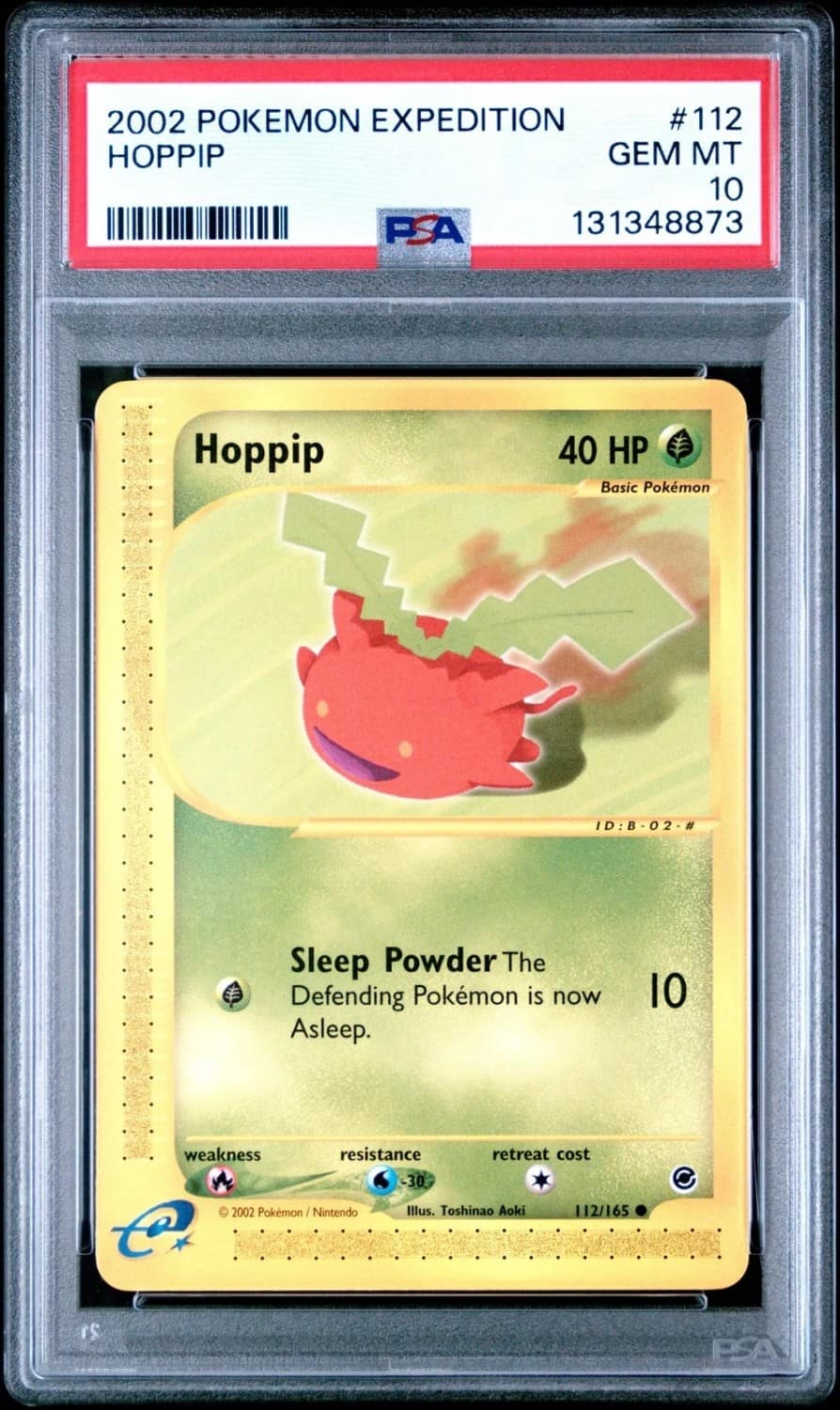 Hoppip