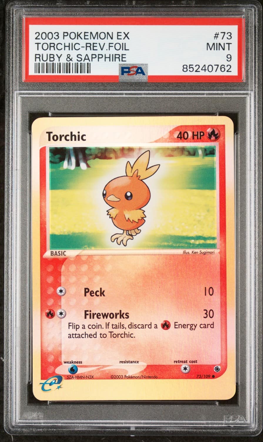 Torchic