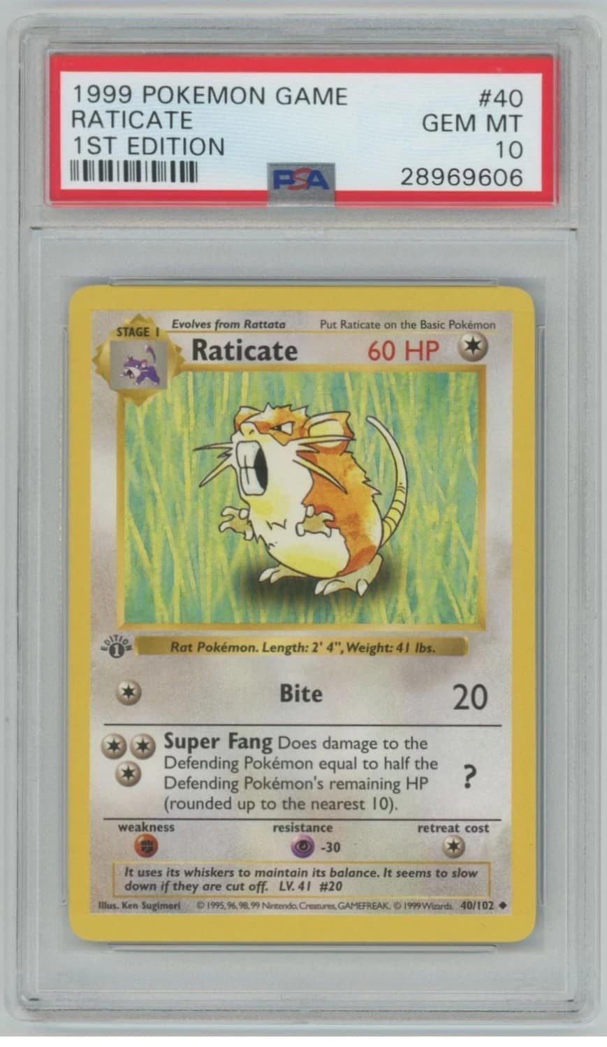 Raticate