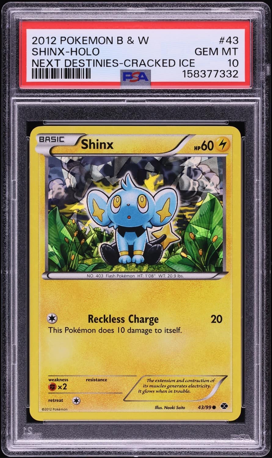 Shinx