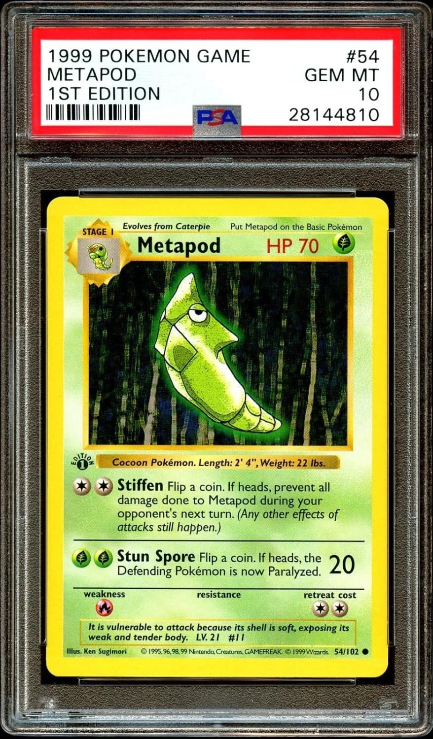 Metapod