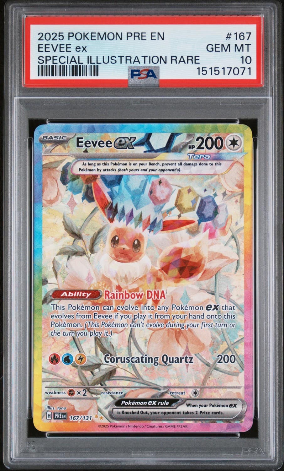 Eevee Ex
