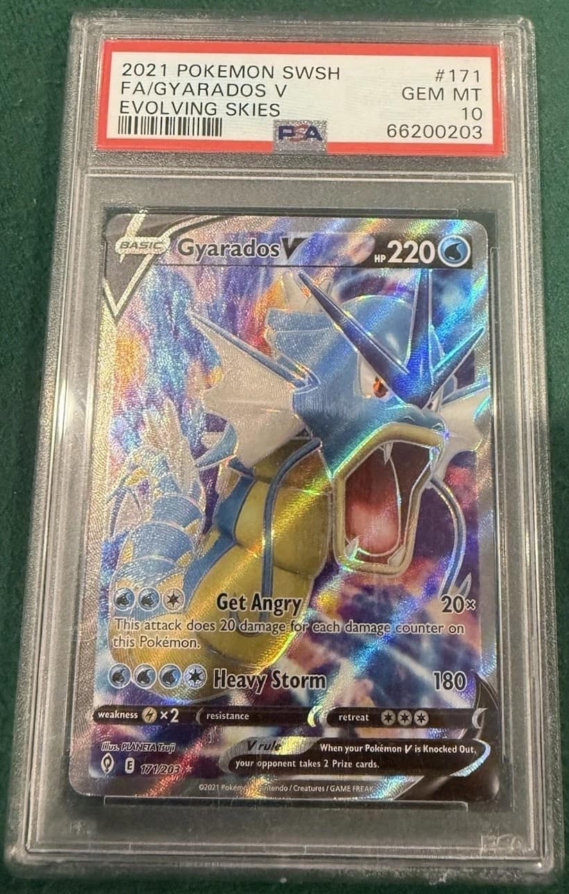 Gyarados V