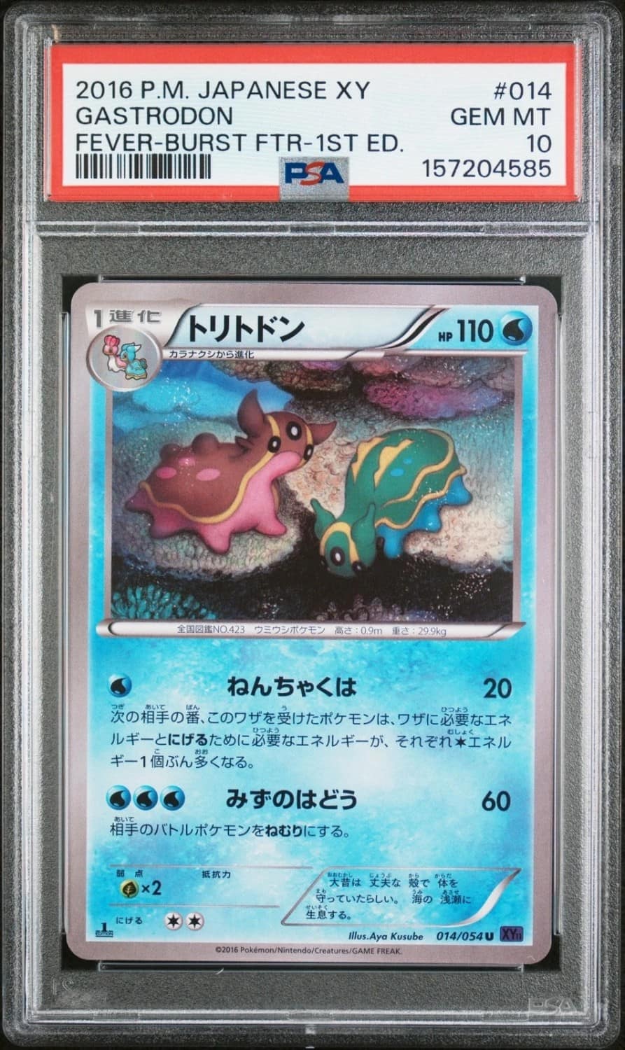 Gastrodon