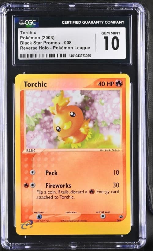 Torchic