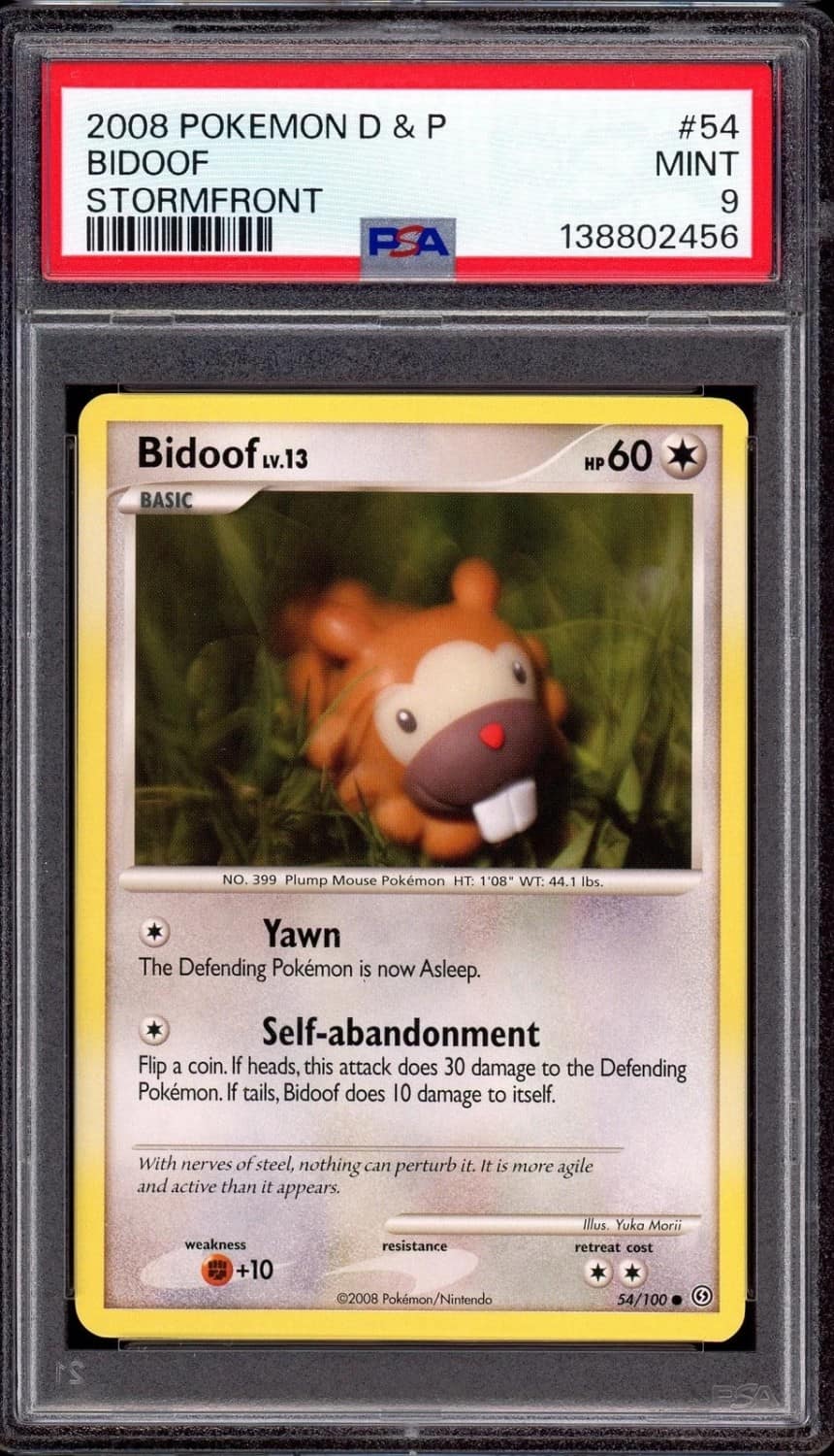 Bidoof