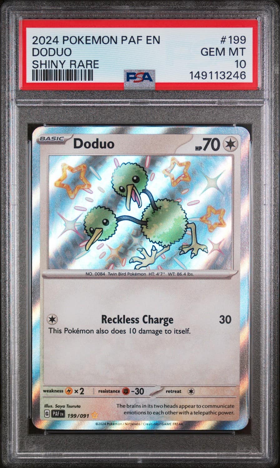 Doduo