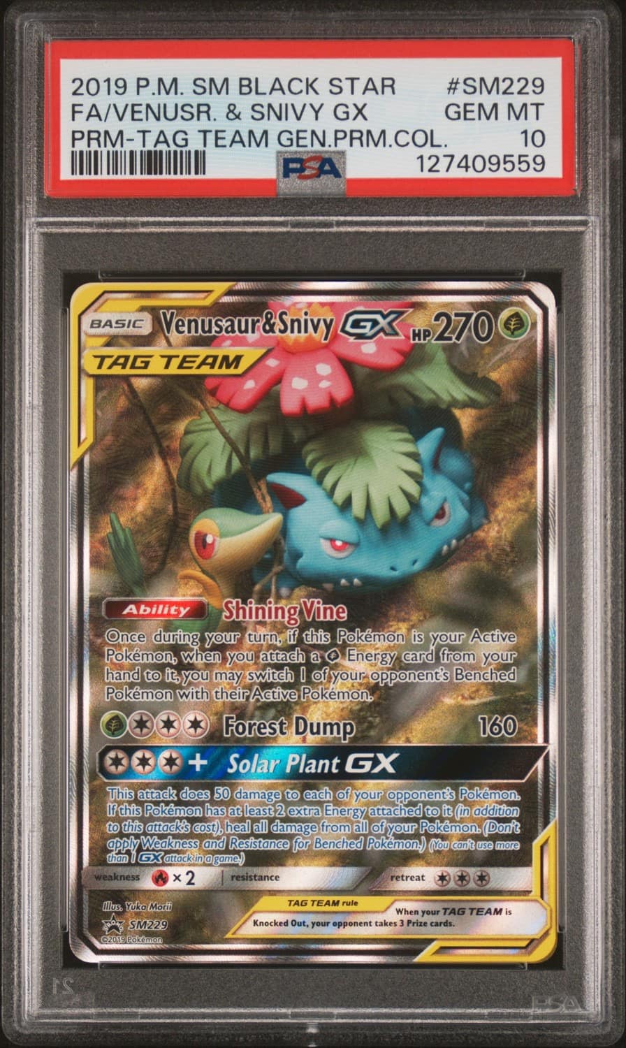 Venusaur & Snivy Gx