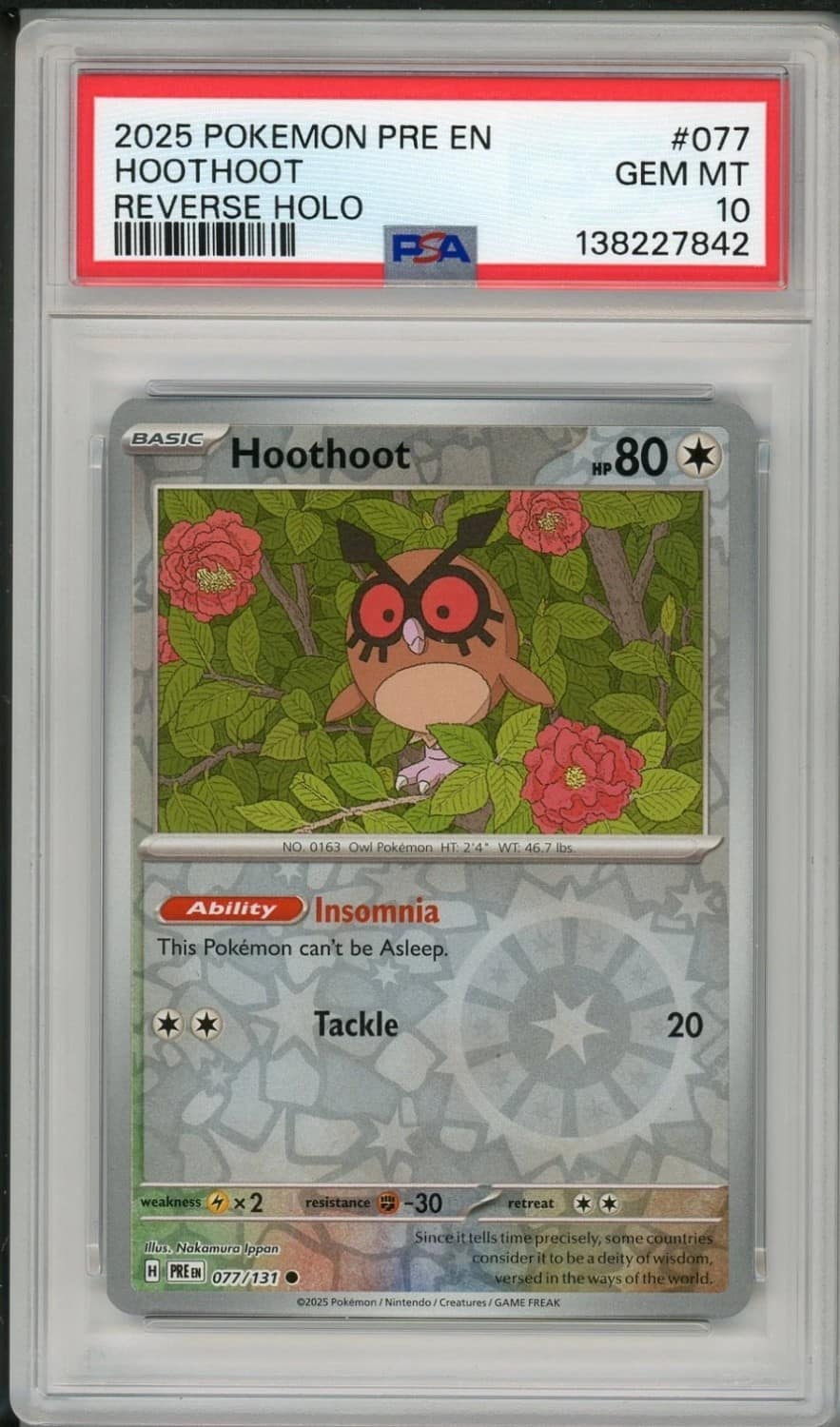 Hoothoot