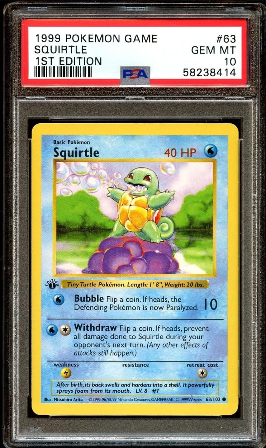 Squirtle
