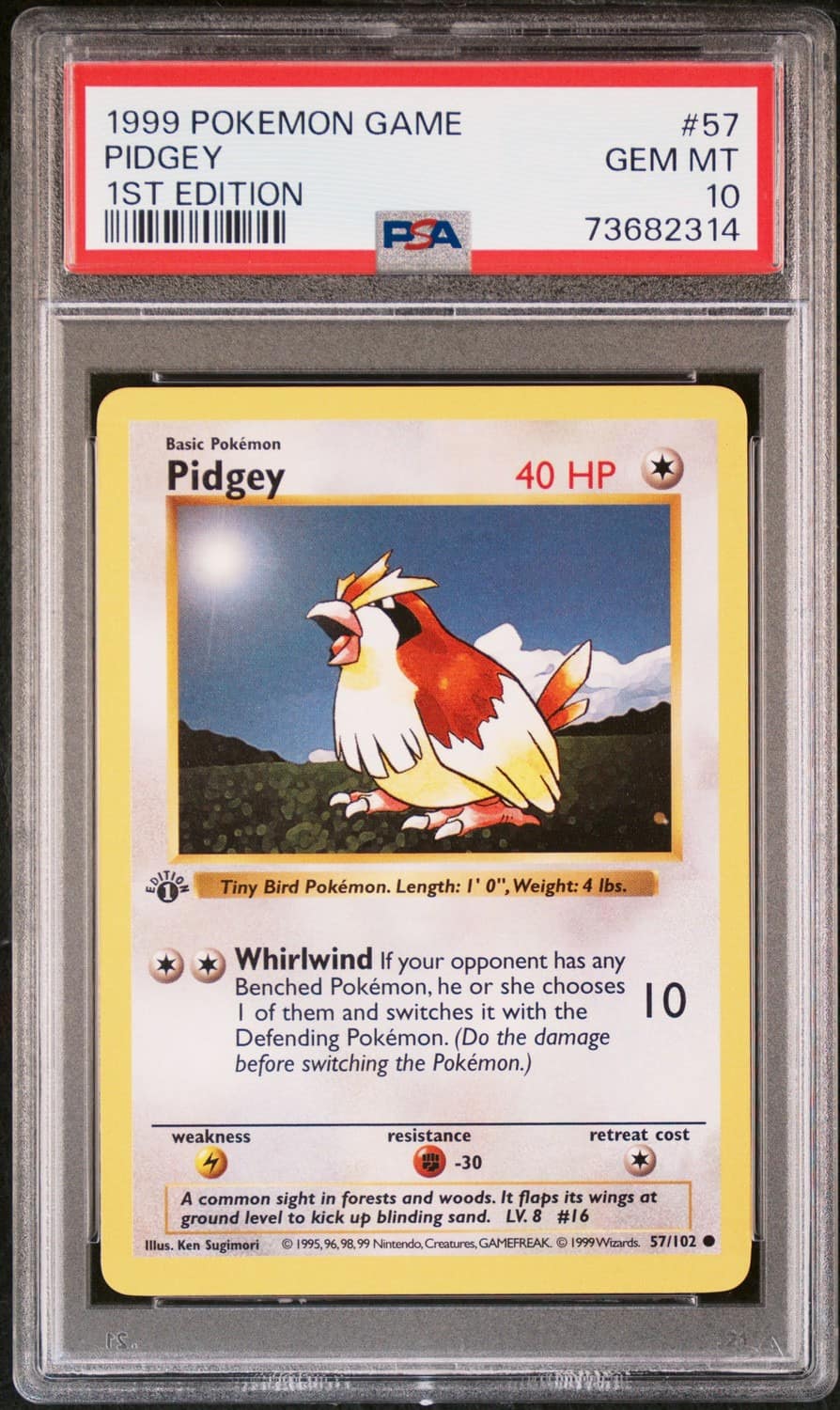 Pidgey