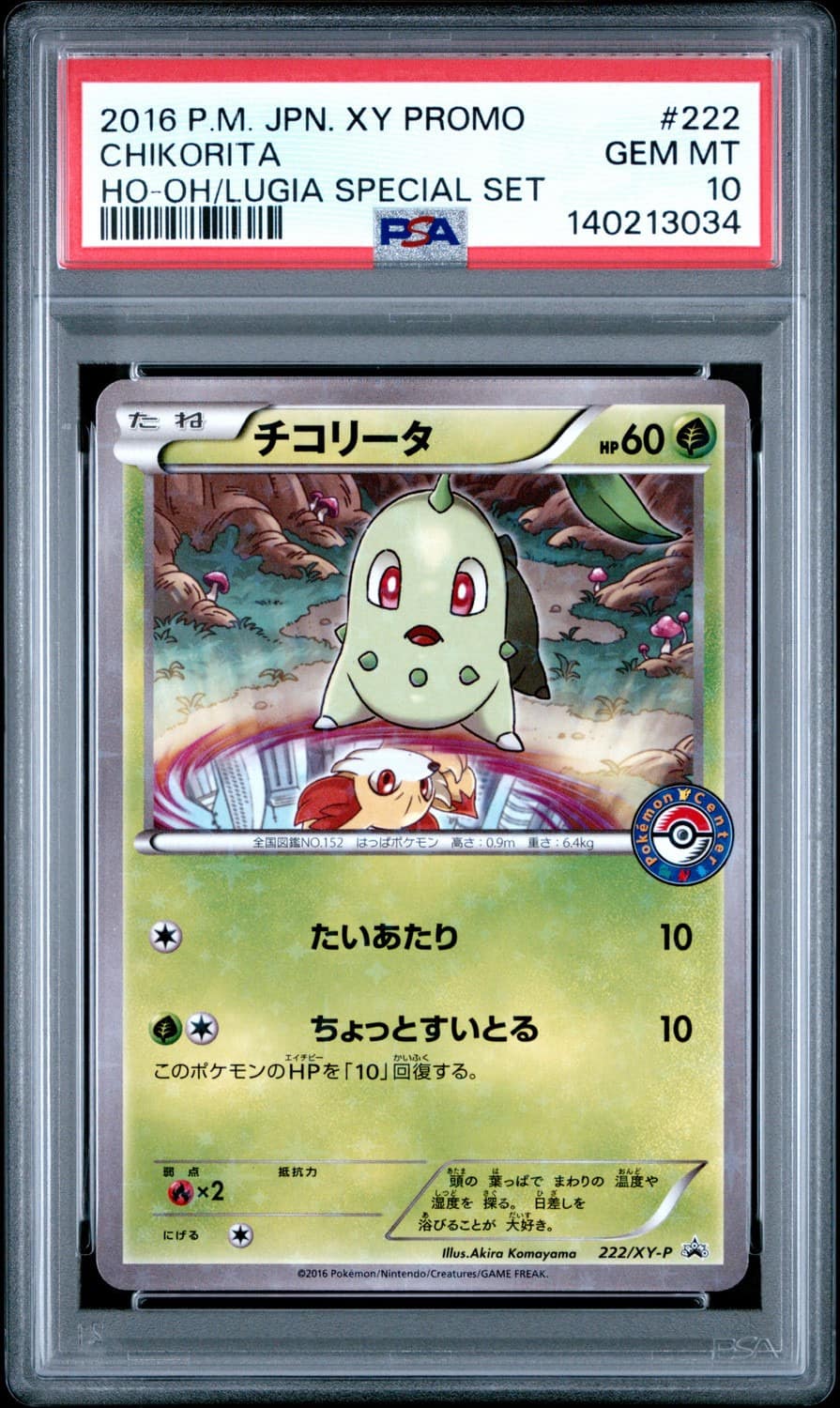 Chikorita