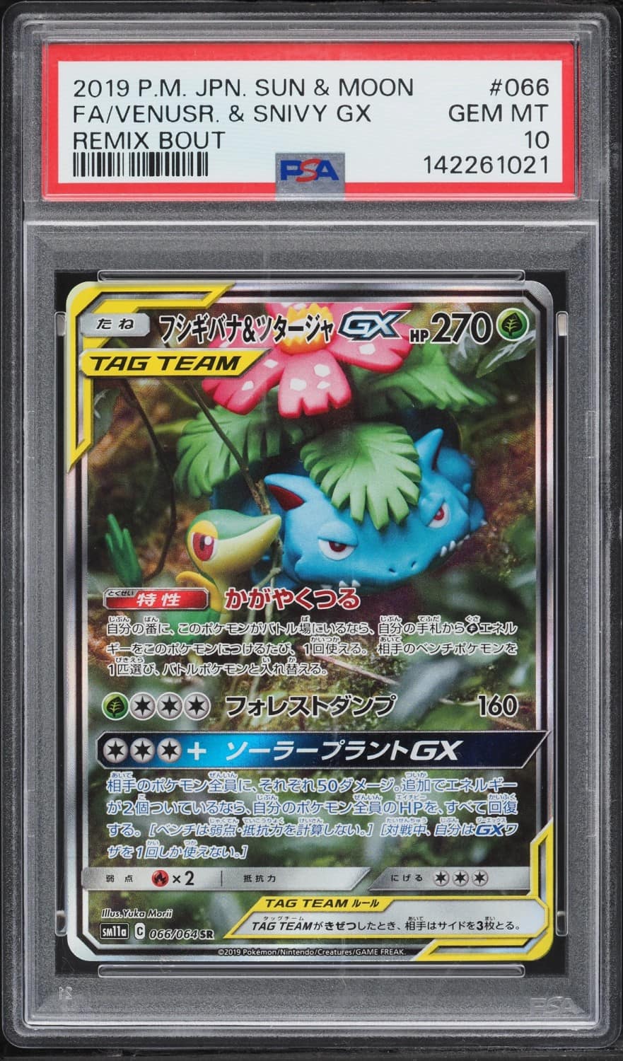 Venusaur & Snivy Gx