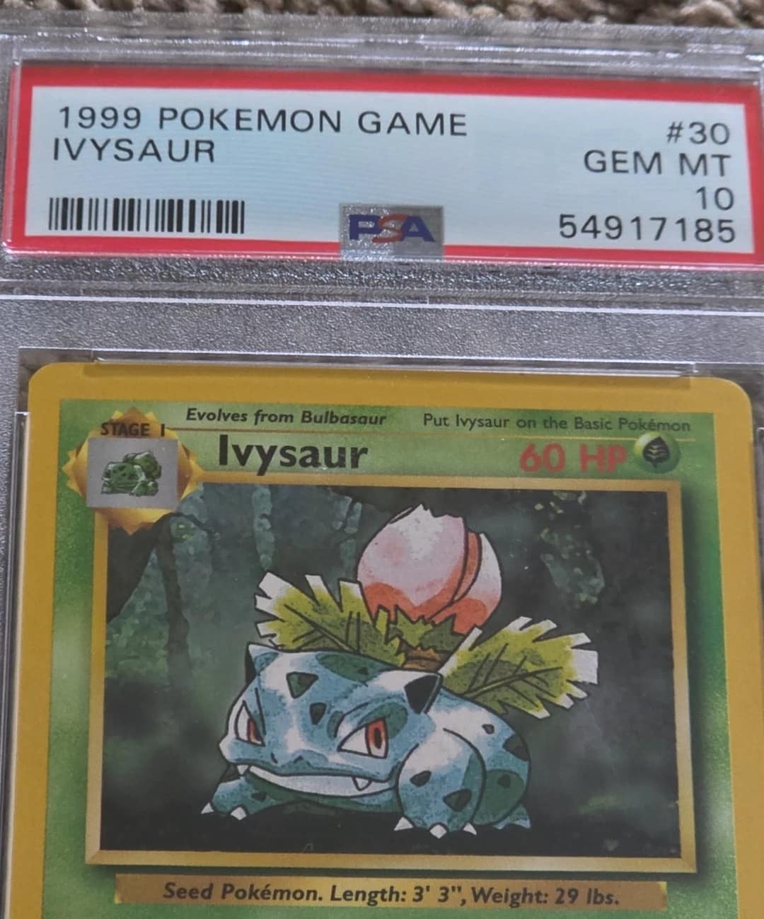 Ivysaur