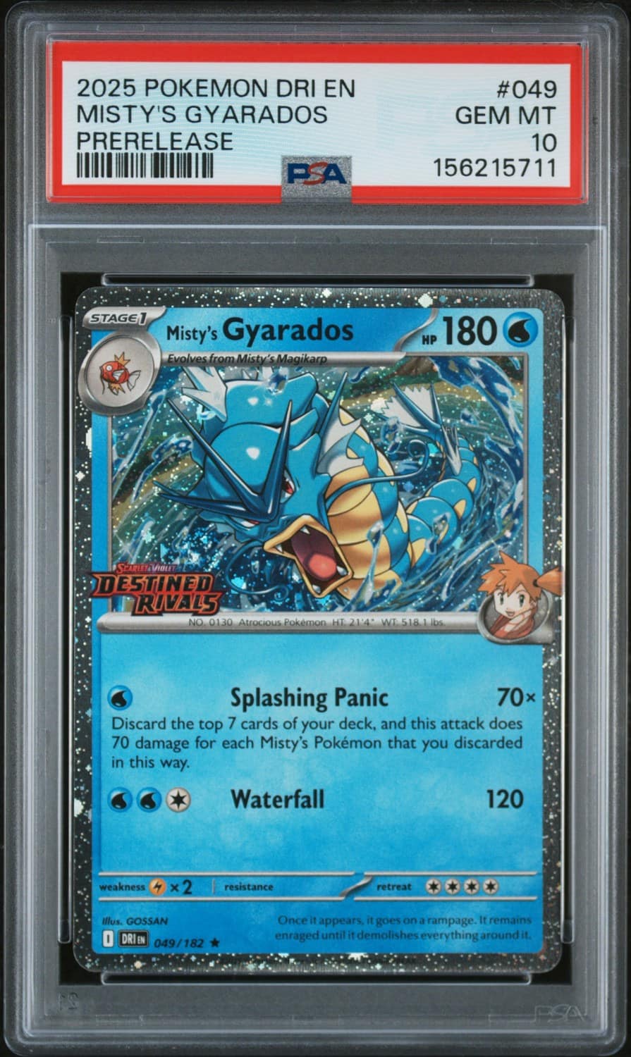 Misty'S Gyarados
