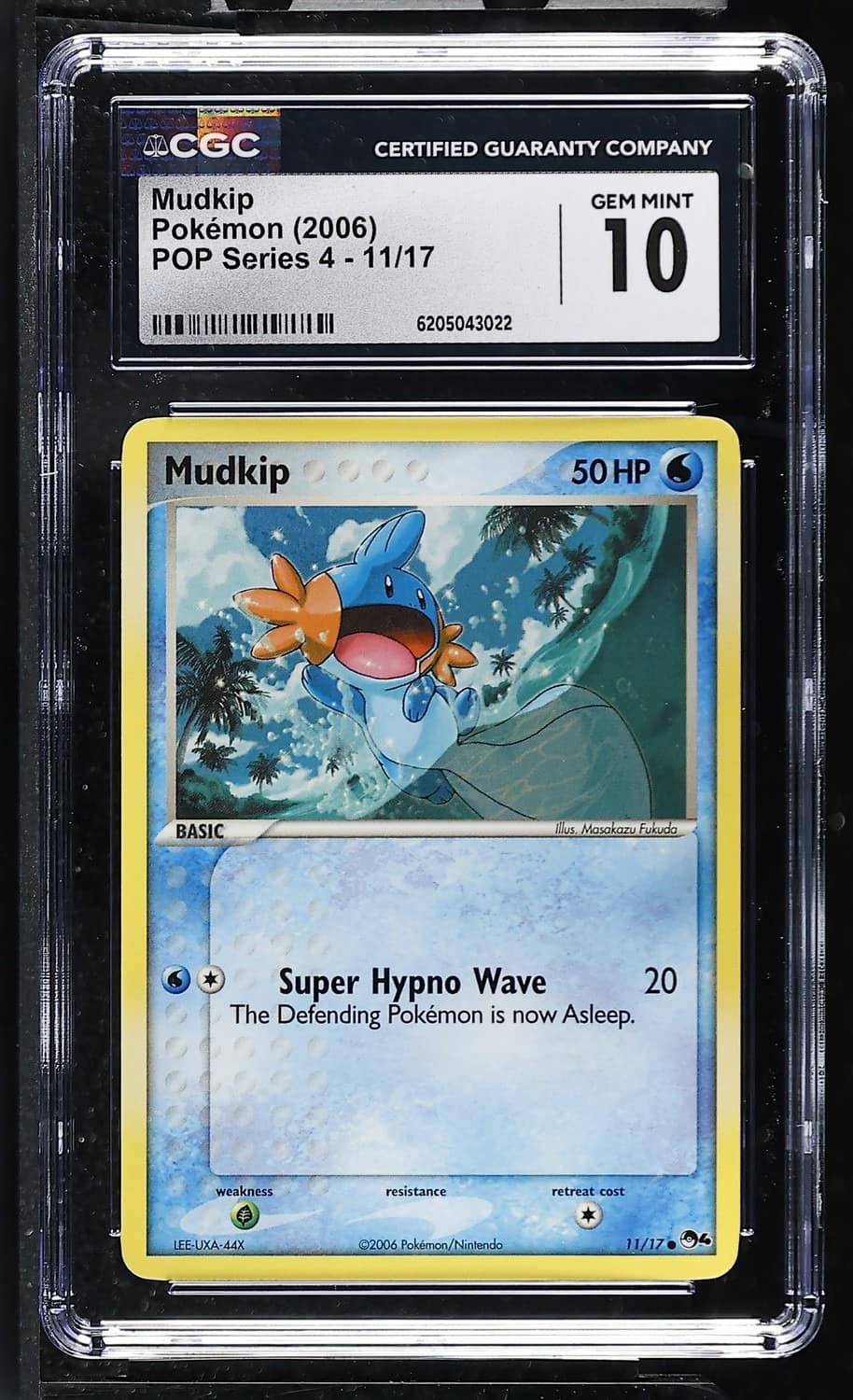 Mudkip