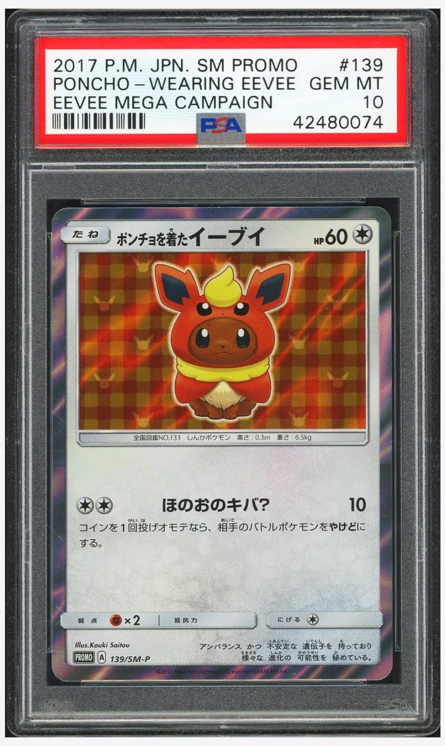 Poncho-Wearing Eevee