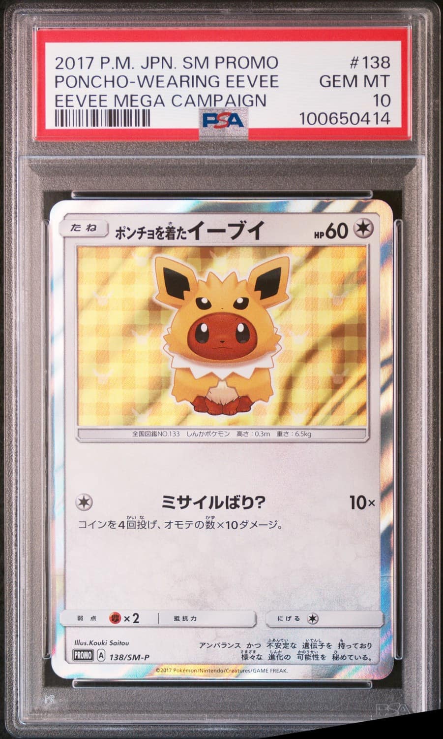 Poncho-Wearing Eevee