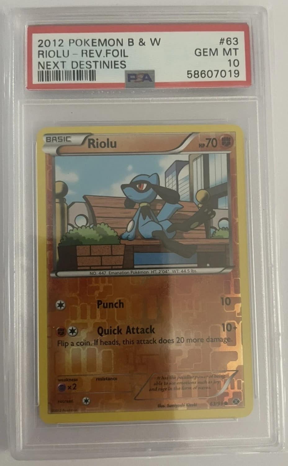 Riolu