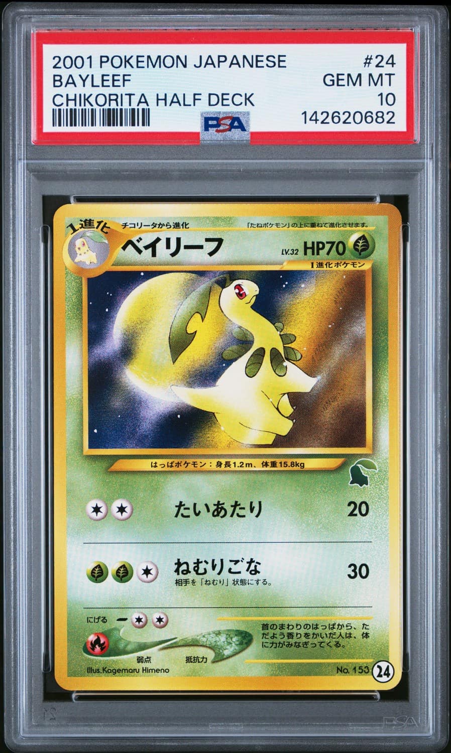 Bayleef