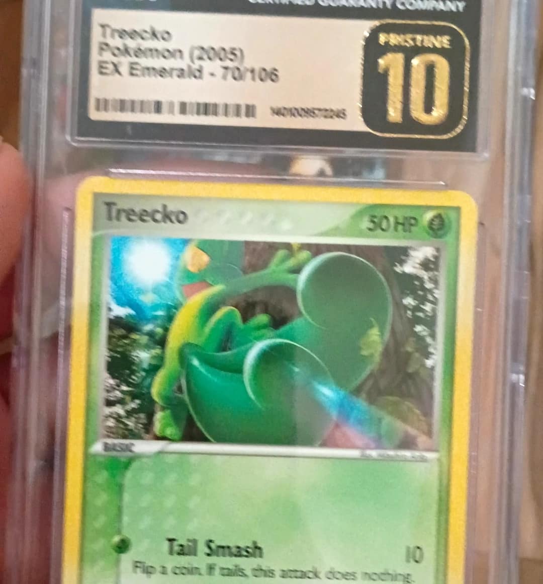 Treecko