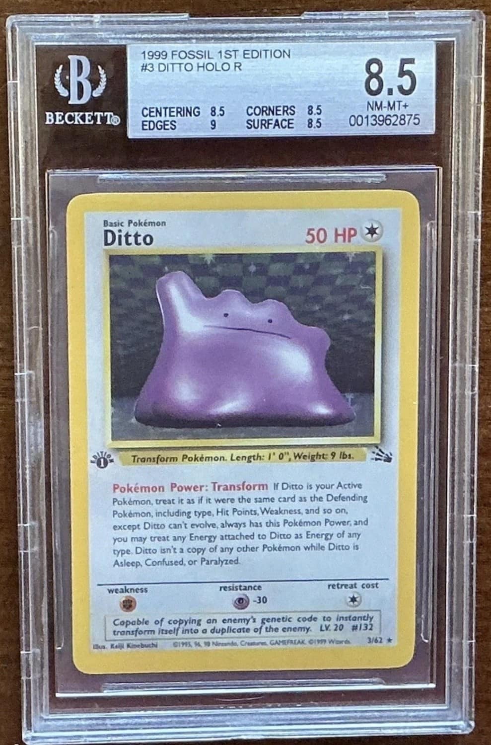 Ditto