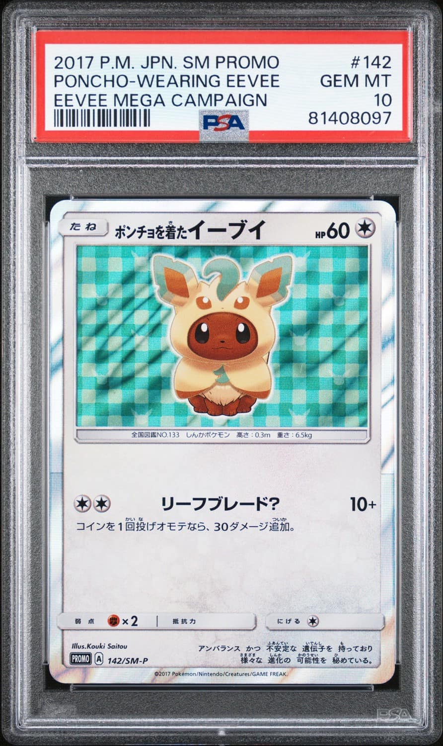 Poncho-Wearing Eevee