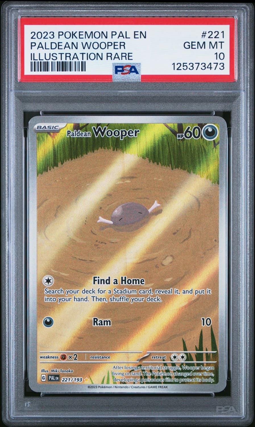 Paldean Wooper