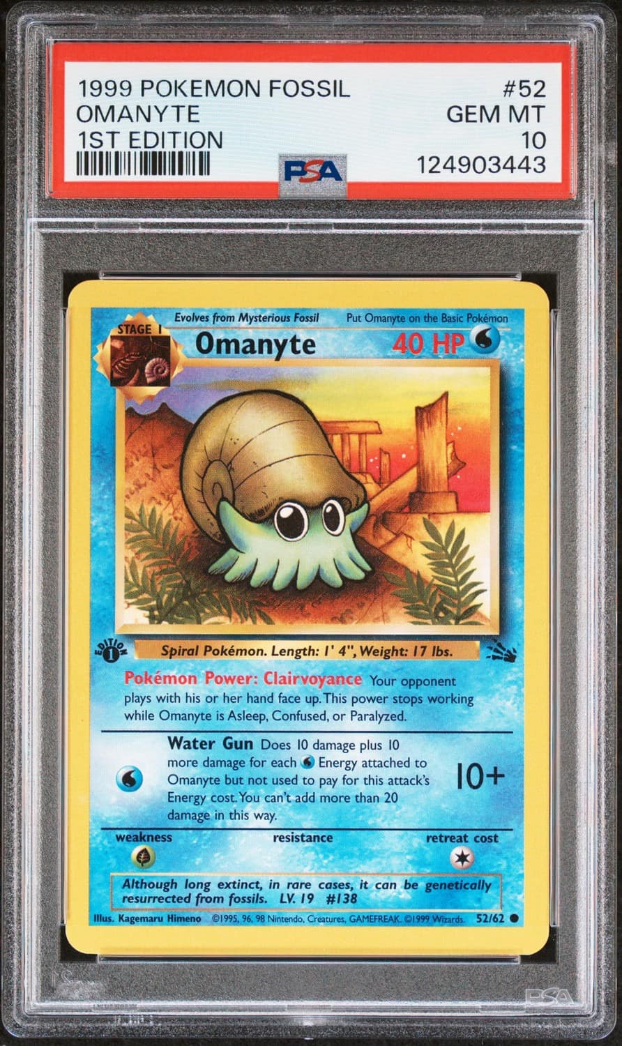 Omanyte