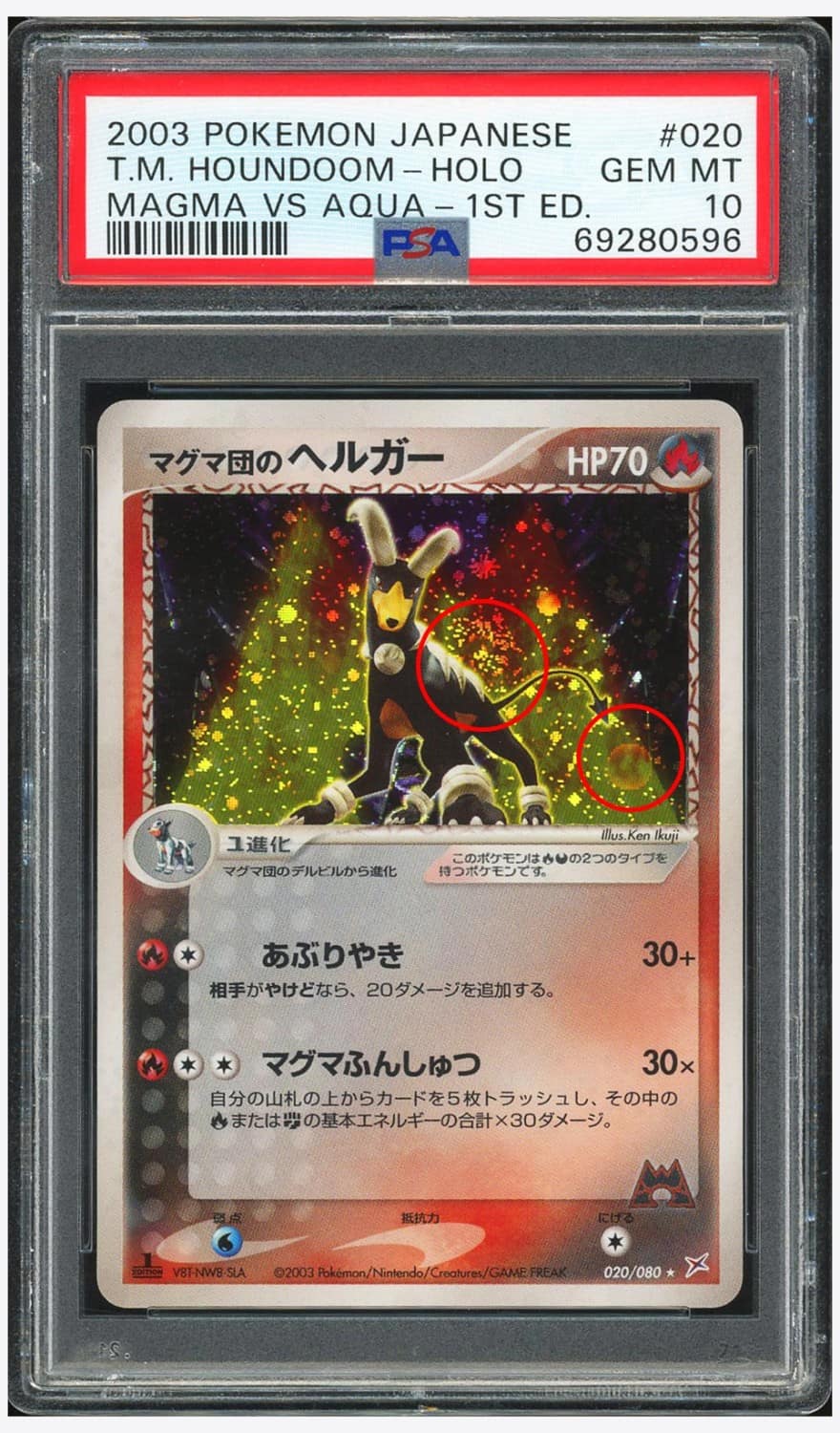 Magma'S Houndoom