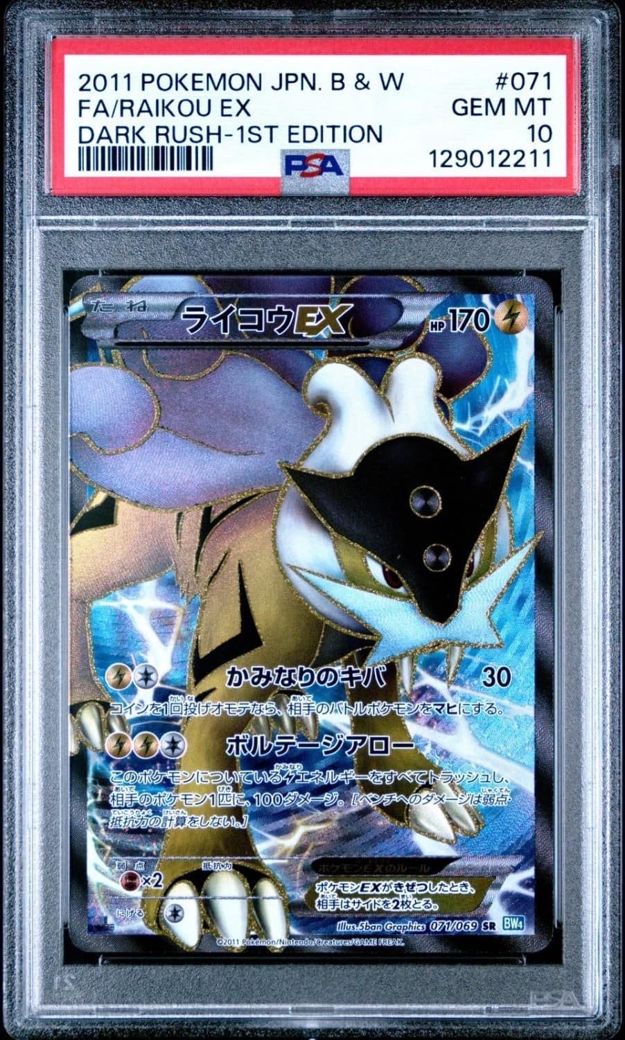 Raikou Ex