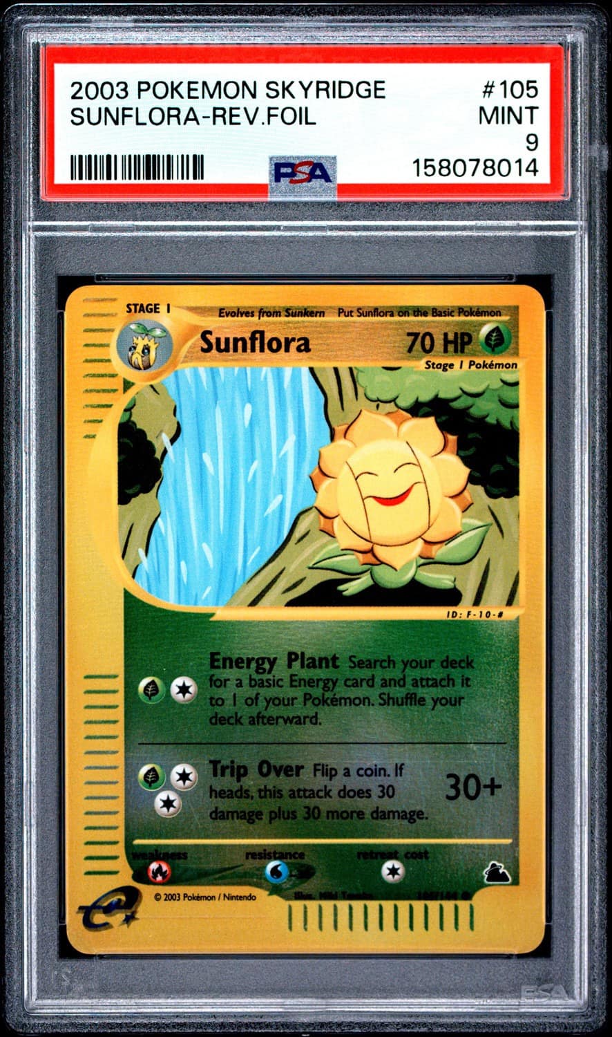 Sunflora