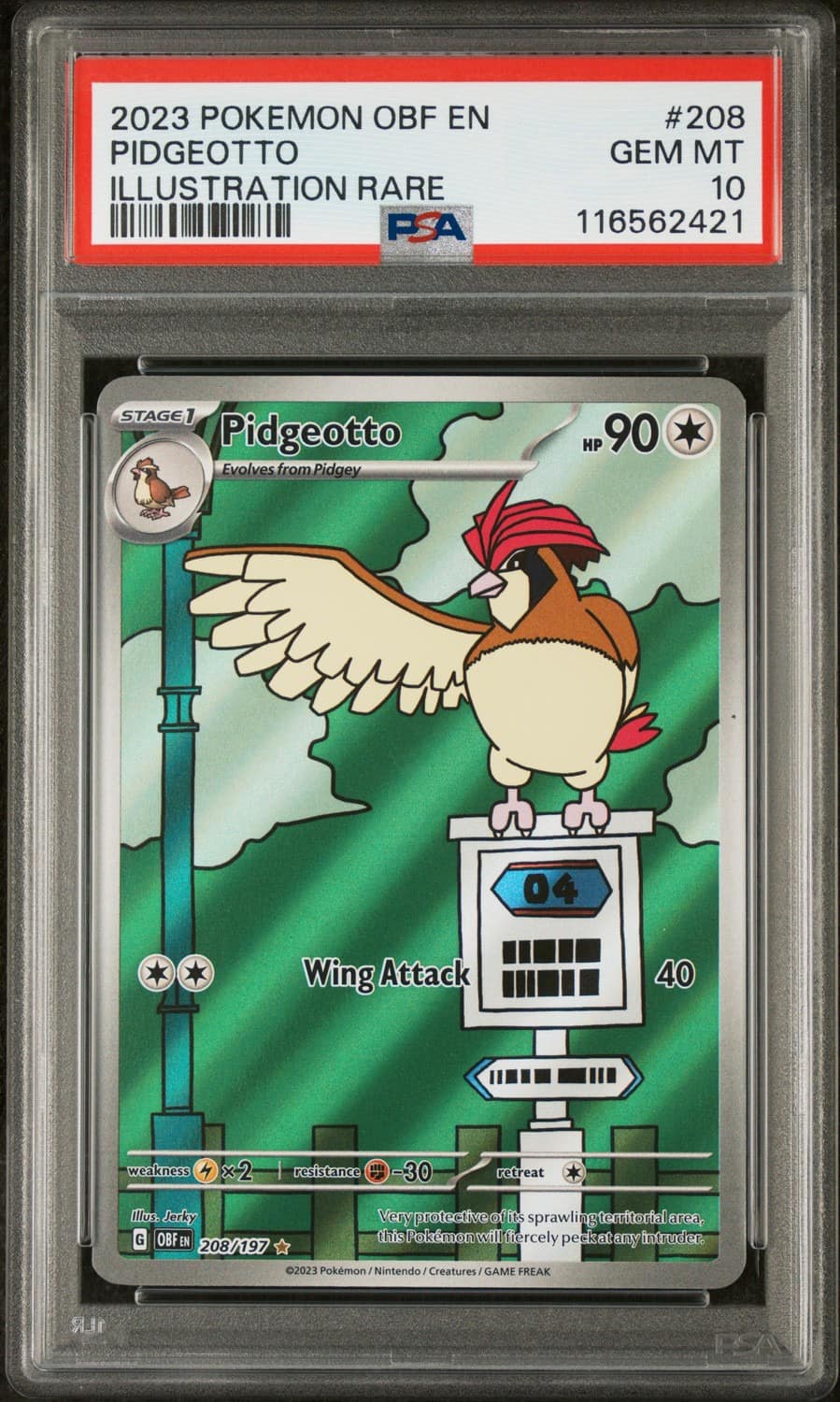 Pidgeotto