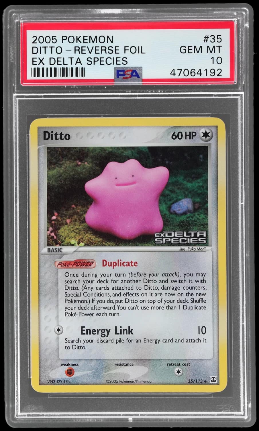 Ditto