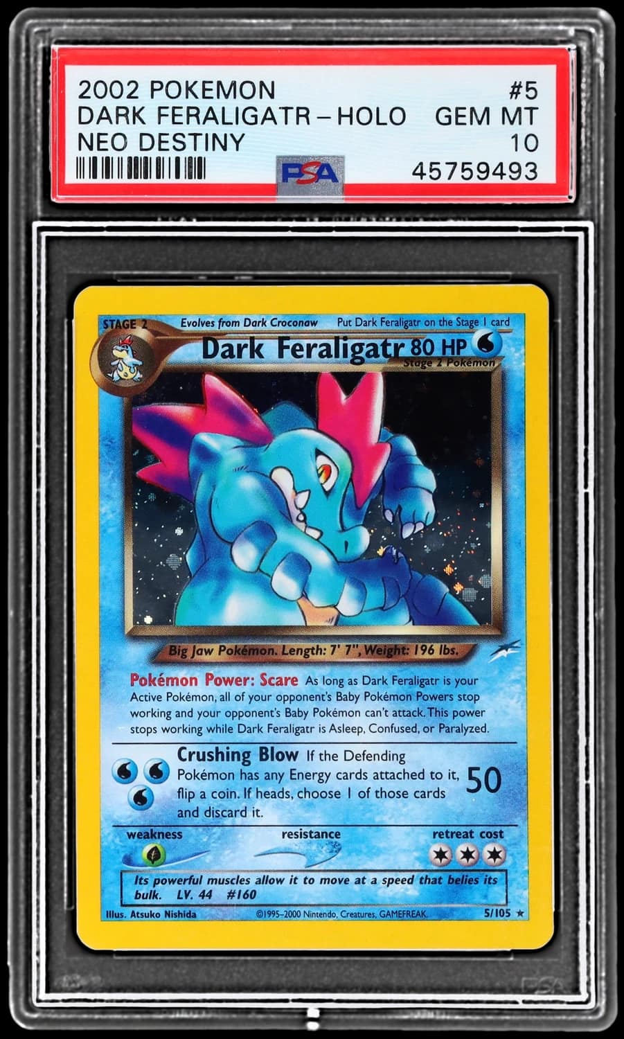 Dark Feraligatr