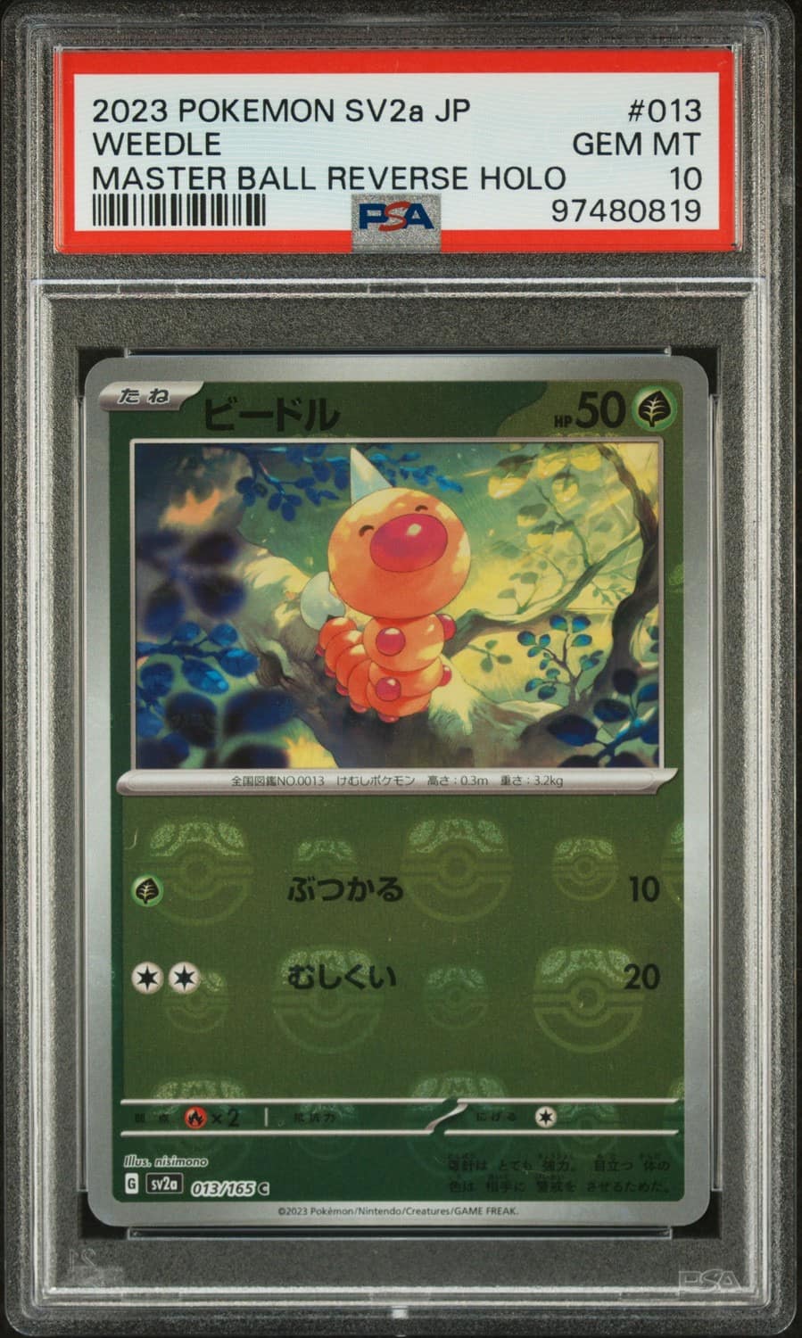 Weedle