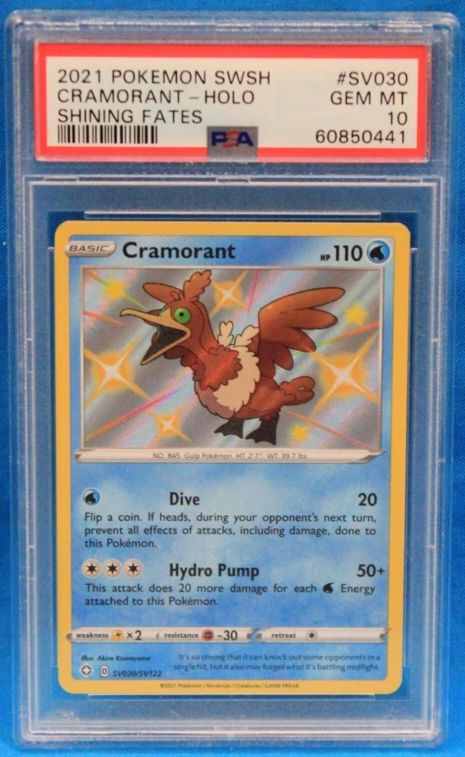 Cramorant