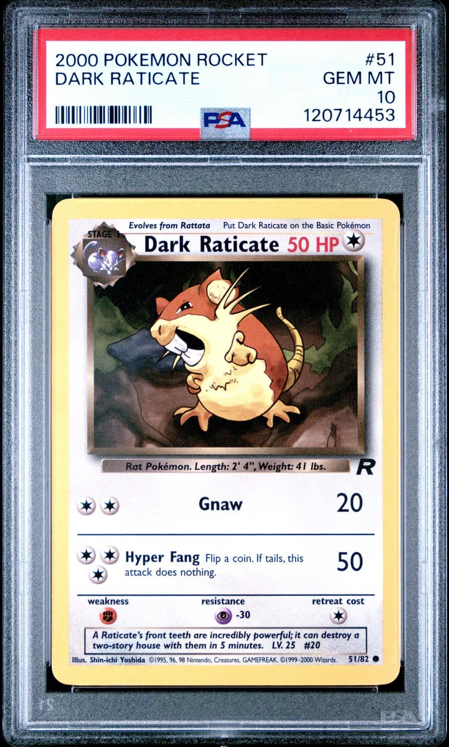 Dark Raticate