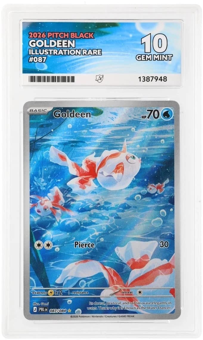 Goldeen