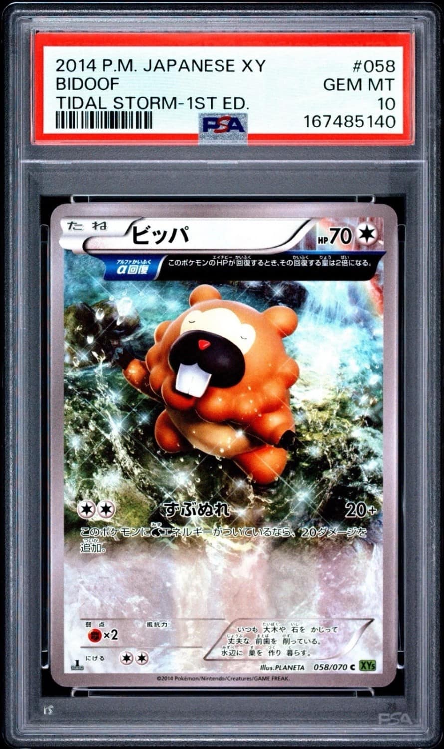 Bidoof