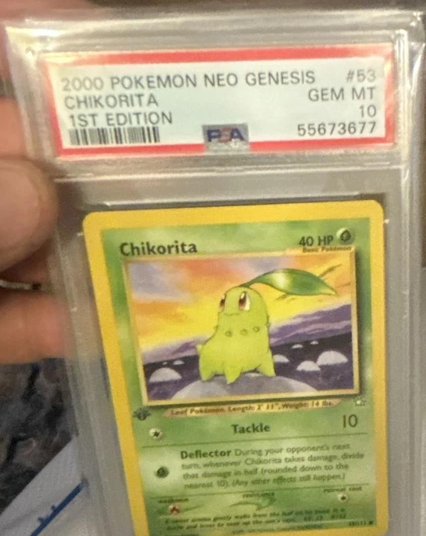 Chikorita
