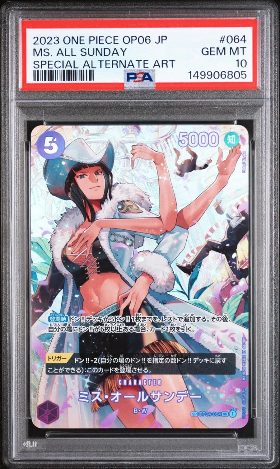 Ms. All Sunday Foil Sp