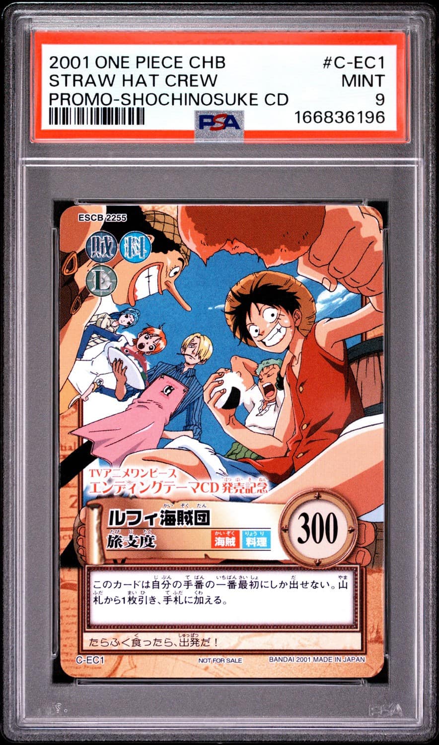 Straw Hat Crew