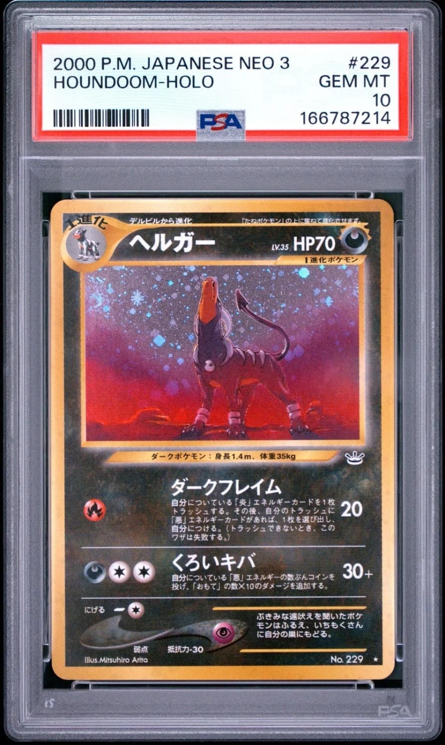 Houndoom
