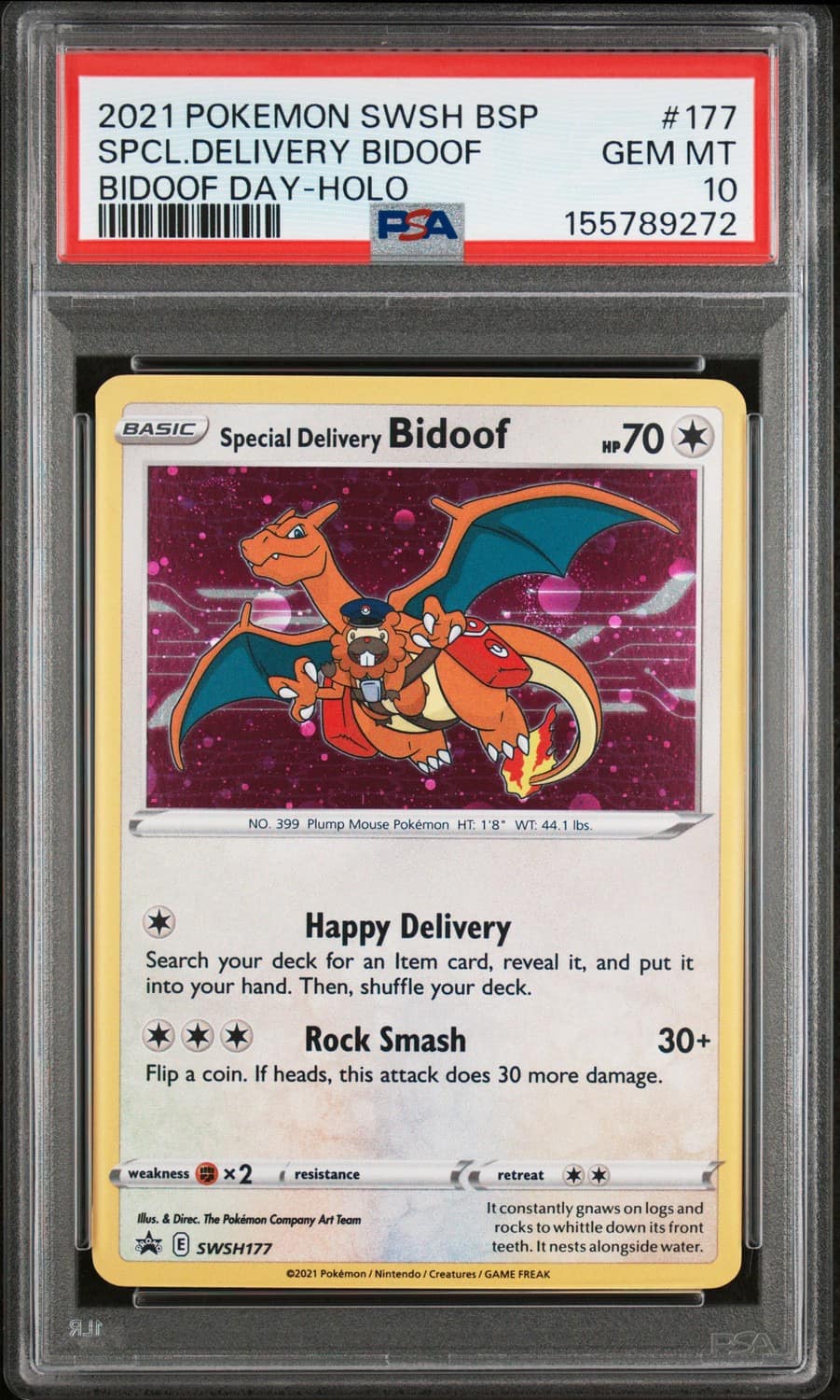 Special Delivery Bidoof