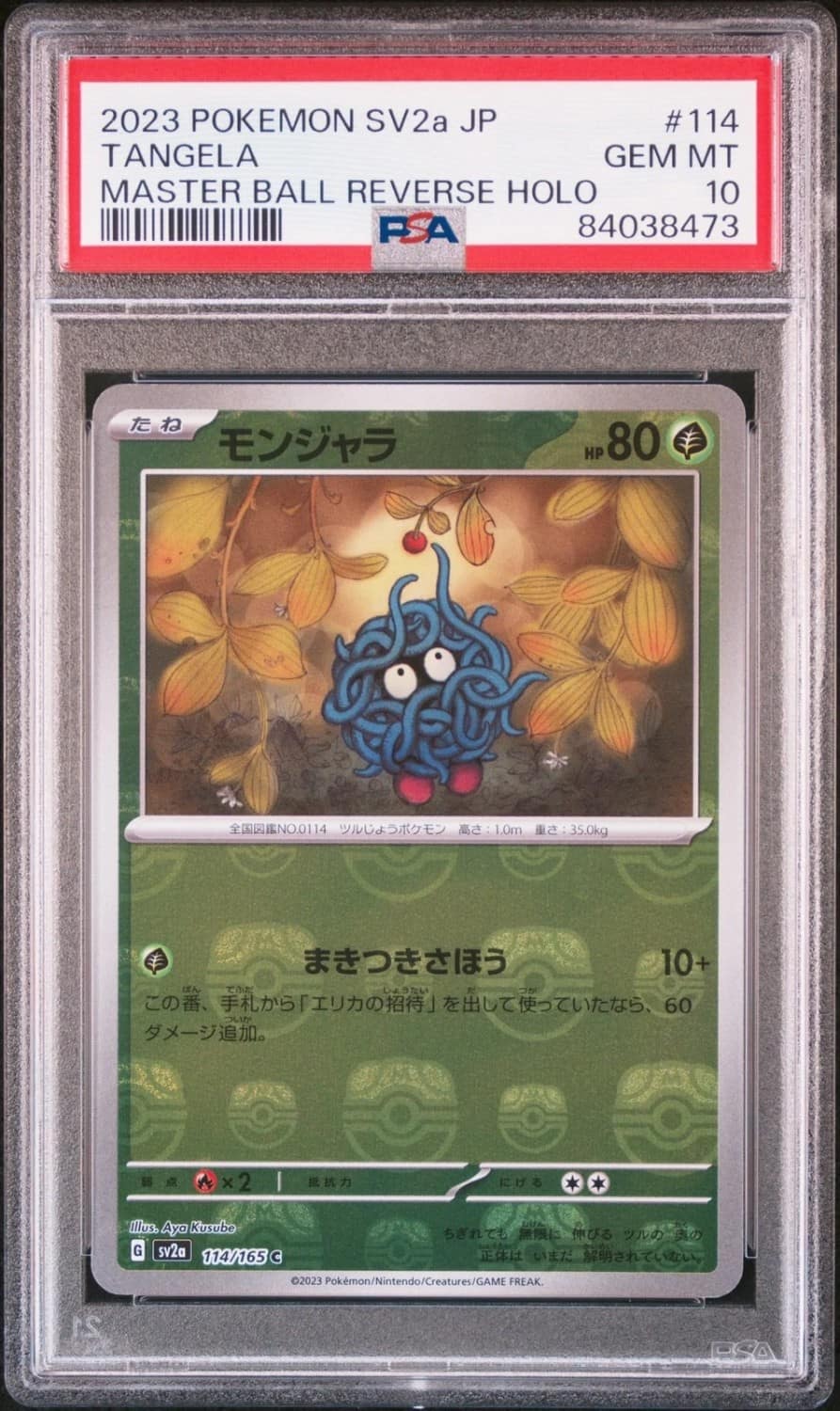 Tangela
